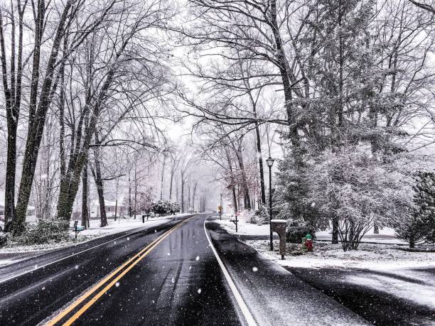 An empty road passing through trees covered in snow in Dover, Delaware, United States