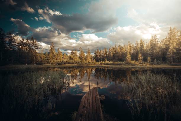 istock Scenic view of a lake with sky reflections surrounded by trees in a forest 1453263485