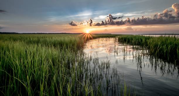 istock Beautiful shot of river surrounded by river at sunset 1453265109