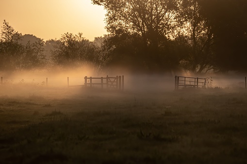 A beautiful view of morning fog over a field with trees in the background