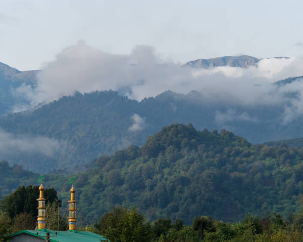 Gilan Province Pictures | Download Free Images on Unsplash