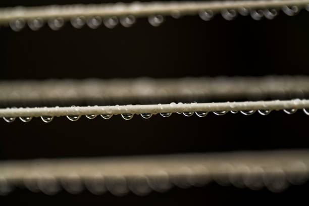 A closeup of water drops hanging on a wire