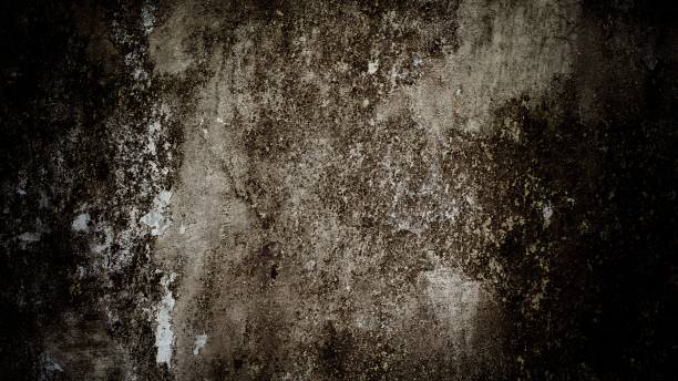 istock Closeup of an old cracked stained wall 1453268341
