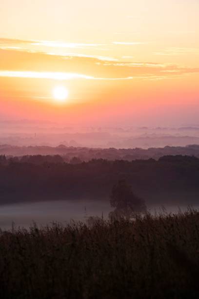 istock Vertical breathtaking landscape with misty fields during sunrise 1453268540