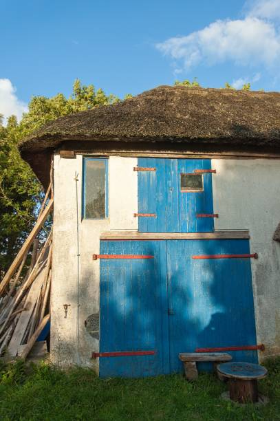 istock Rural house with blue doors surrounded with lush plants and trees in Westerhever, Germany 1453268672