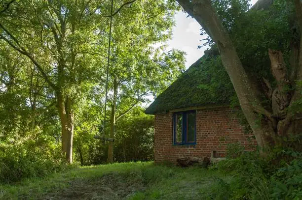 A rural brick house with  moss-covered roof surrounded by lush trees in Westerhever, Germany