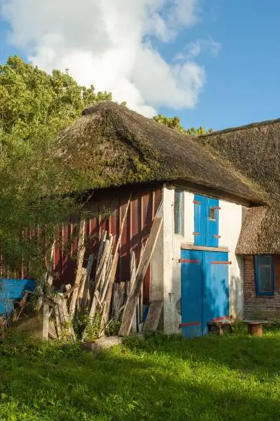 A rural house with blue doors surrounded with lush plants and trees in Westerhever, Germany