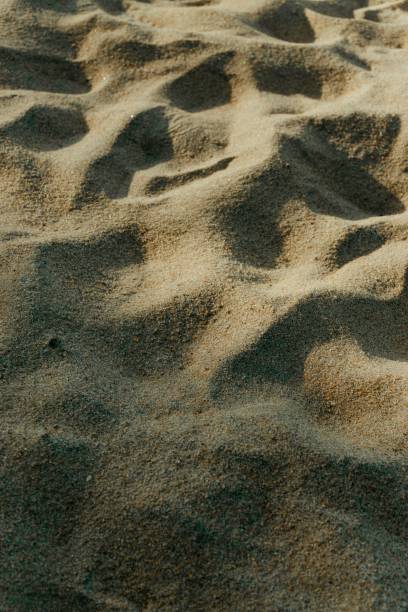 istock Vertical shot of uneven sandy surface 1453268912