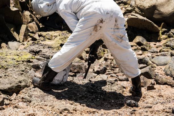 Salvador, Brazil – October 27, 2019: An oil spill cleanup worker at Pedra do Sal beach