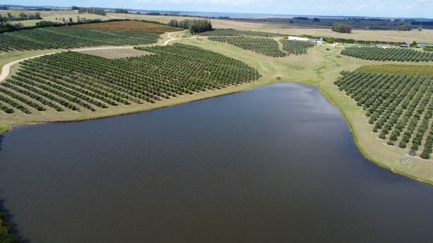 istock Beautiful view of a lake with fields on a sunny day 1453269212