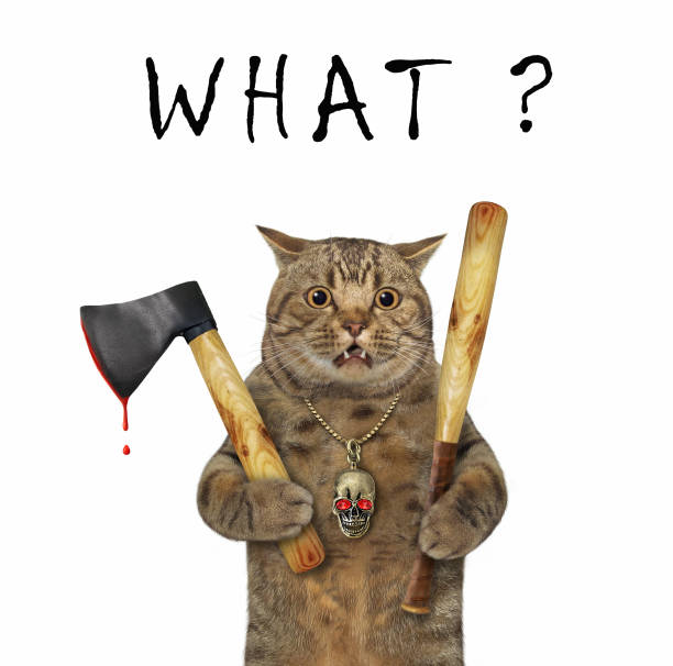 istock Cat holds axe and baseball bat 1453270557
