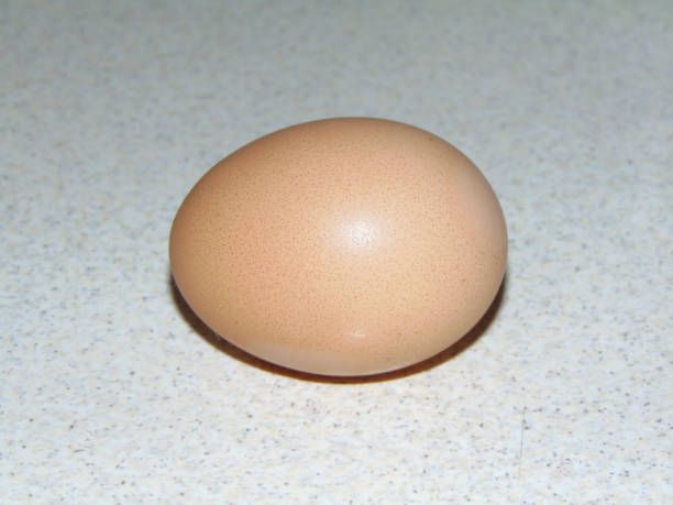 istock Raw chicken egg from Maramures county, Romania 1453271638