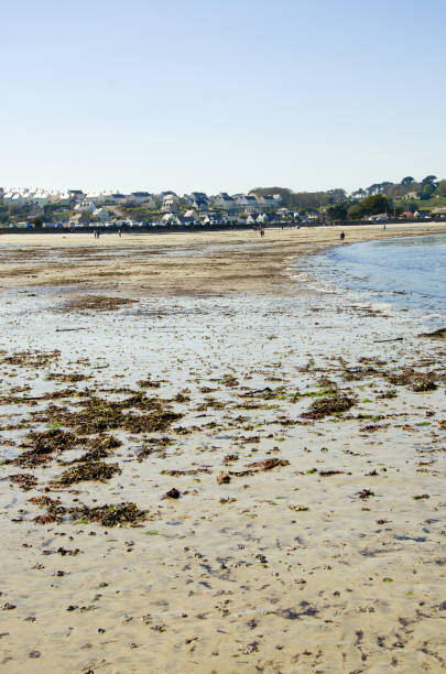 istock Coast of the Atlantic Ocean and low tide 1453277690