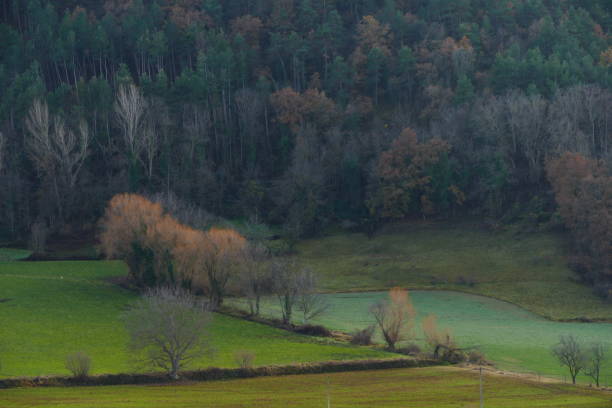 La Seu d'Urgell, surrounding landscape : province of Lerida, Catalonia