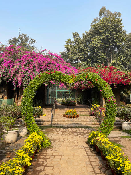 Image of heart-shaped, living archway spanning footpath, pink flowering bougainvillea climbing vine, paved footpath, steps with metal hand rail, focus on foreground Stock photo showing heart shaped, archway spanning a footpath over a garden path in the free to enter landscaped public park of Lodhi Gardens home to the mausoleums of Mohammed Shah and Sikander Lodhi. lodi gardens stock pictures, royalty-free photos & images