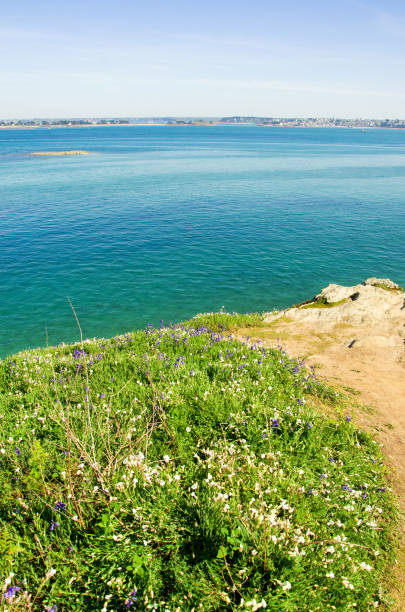 istock Coast of the Atlantic Ocean and low tide 1453278089
