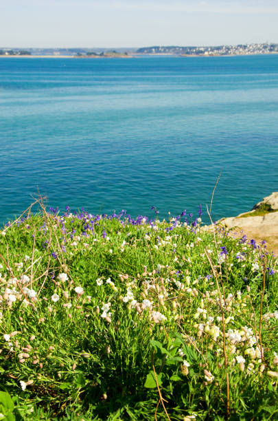istock Coast of the Atlantic Ocean and low tide 1453278225