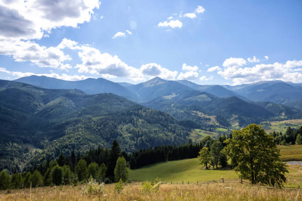 istock Beautiful mountain landscape with meadow and forest on sunny day 1453279112