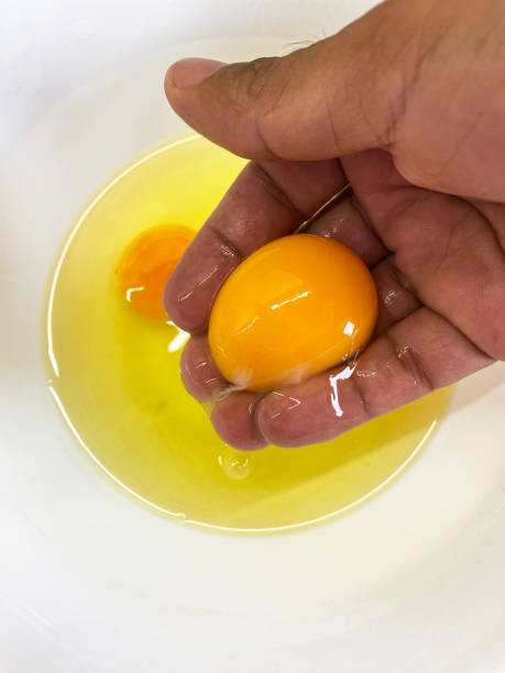 Close-up image of unrecognisable person's hand holding egg yolk separated from egg white over white bowl, egg white slipping through fingers into bowl below, elevated view