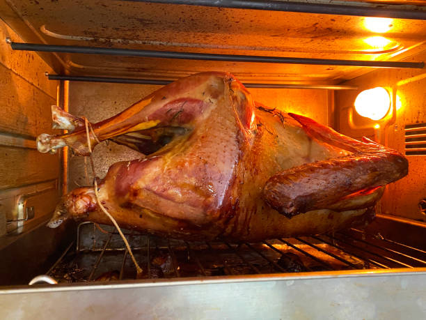 istock Full frame image of whole, stuffed turkey on oven tray roasting inside hot oven, focus on foreground 1453280049