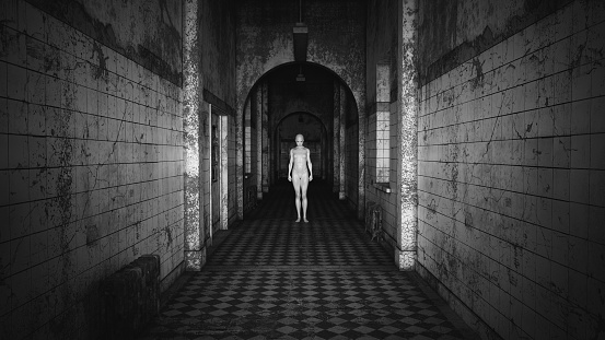 Woman in a Asylum Halloween Dark Black and White Film Grain Analogue Aesthetic Gothic Building with Ghost Hunters Camera Flash 3d illustration render