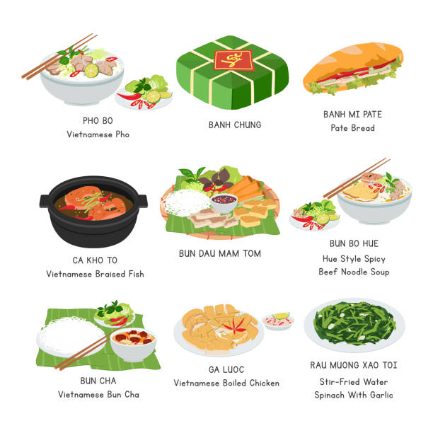 ilustrações de stock, clip art, desenhos animados e ícones de vietnamese food vector set. set of famous dishes in vietnam flat vector illustration, clipart cartoon. banh mi, pho, bun cha, banh chung. asian food. vietnamese cuisine. vietnamese foods vector design - chef appetizer soup food