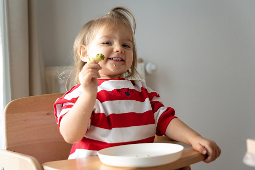 Portrait of Caucasian toddler girl eating broccoli for meal, while siting in high chair