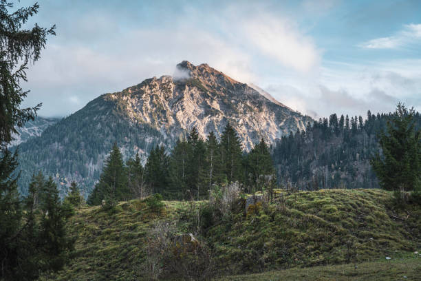 гора эльпелекопф в бад-хинделанге в альгее - allgau стоковые фото и изображения