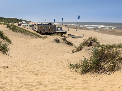 Beautiful summer landscape on Sylt island, in North Sea, Germany. Nature scenery with sheep grazing on the marram grass dunes on the seashore