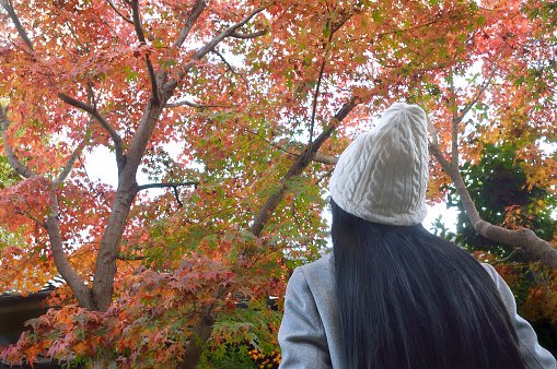 Woman Standing in Front of the Autumn Colored Maple Trees