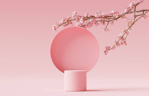 istock 3D background, pink podium, stone display. Sakura pink flower tree branch with shadow. Floral Cosmetic or beauty product promotion step pedestal. Abstract minimal 3D render. Copy space spring mockup. 1453290462