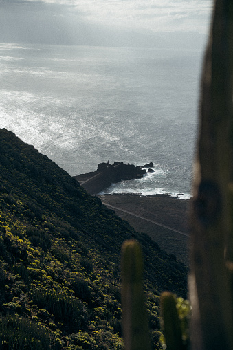 Coastline of Tenerife, Spain, at the Punta de Teno where you can see the famos light tower from above and cactus in front.