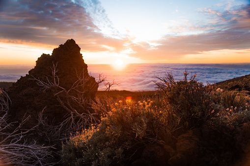 An extraordinary sunset at the Teide National Park in Tenerife, Spain. The sun is over und under the clouds and makes the clouds orange. In front are rocks and typical plants like succulents and other desert plants