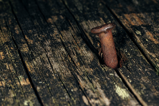 Macrophoto of old rusty croocked nail driven into old wood. Grey-brown background.