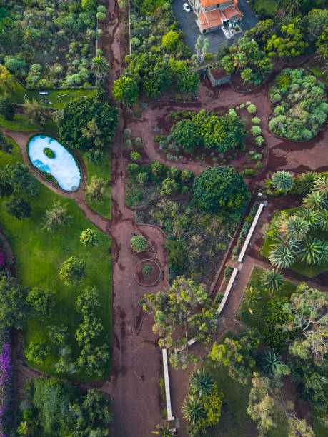 istock Drone shot of a park with palms, footpath and a pool 1453296595