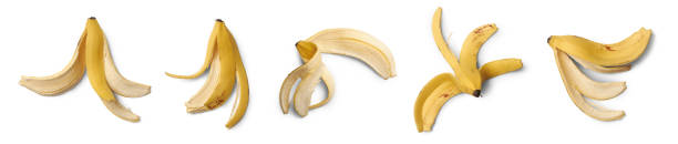 set of banana peels on white background