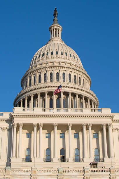 istock Republican Politics and Democracy in Crisis 1453309929