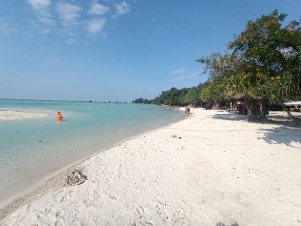 istock The beautiful beach with blue sky 1453310834