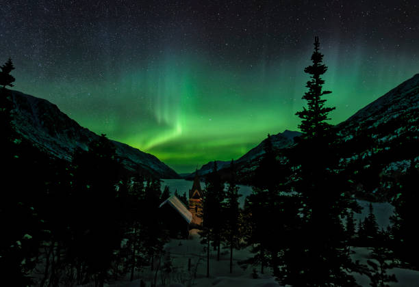 Captured at  on 27,Feb,2019 by William Kleedehn