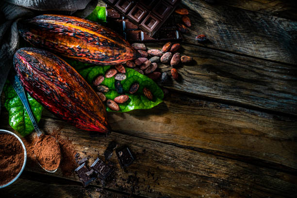 istock Dark chocolate bars, cocoa pods and cocoa powder on rustic wooden table. Copy space 1453314675
