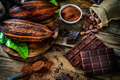 High angle view of organic cocoa pods, cocoa beans cocoa powder shot on rustic wooden table. High resolution 42Mp studio digital capture taken with SONY A7rII and Zeiss Batis 40mm F2.0 CF lens