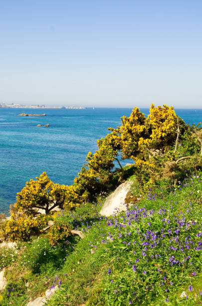 istock Coast of the Atlantic Ocean and low tide 1453315936