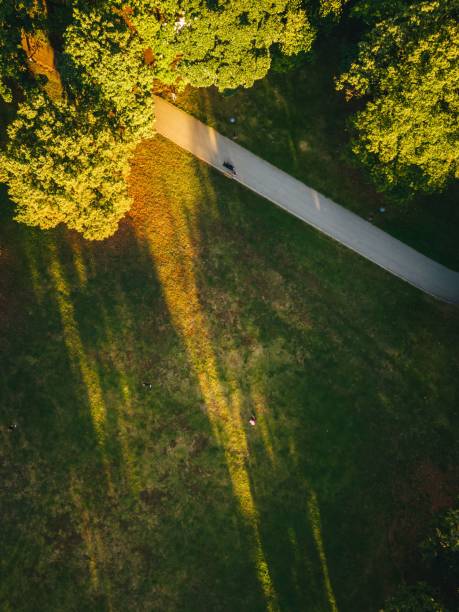 istock Pedestrian path in the city park with green plants 1453316301