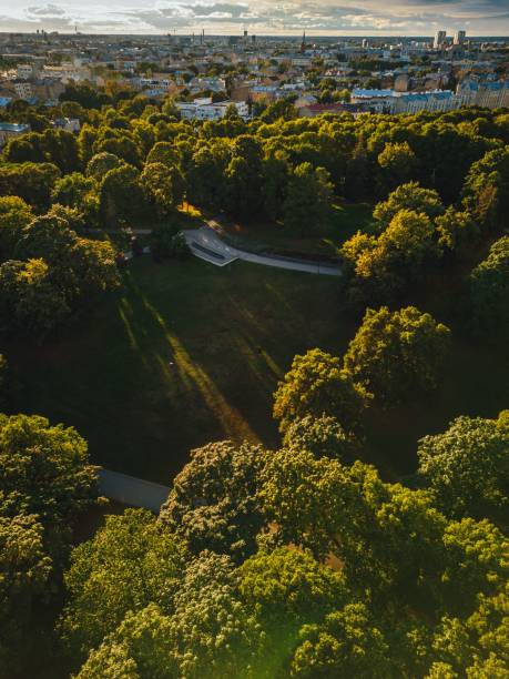 istock Pedestrian path in the city park with green plants 1453316304