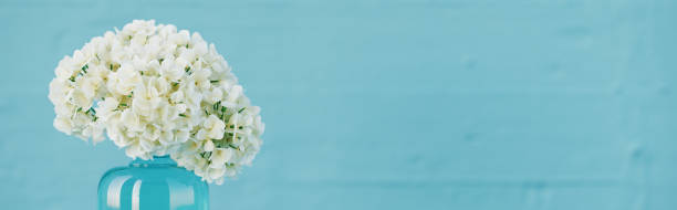 istock White flowers in a vase on a blue background with copy space. 1453319107