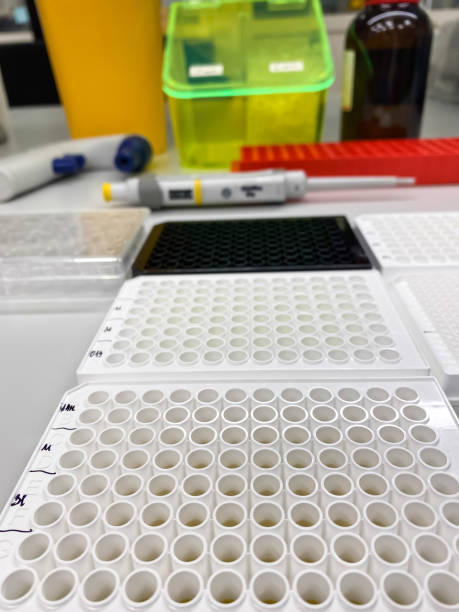 blat laboratoryjny z płytkami wielodołkowymi - microplate pipette medical sample biotechnology zdjęcia i obrazy z banku zdjęć