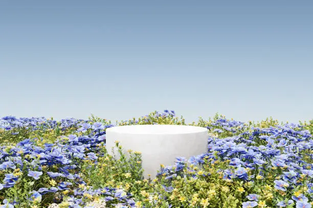 Photo of Abstact 3d render spring scene and Natural podium background,  White stone podium on the colorful flowers field, backdrop blue sky for product display advertising or etc