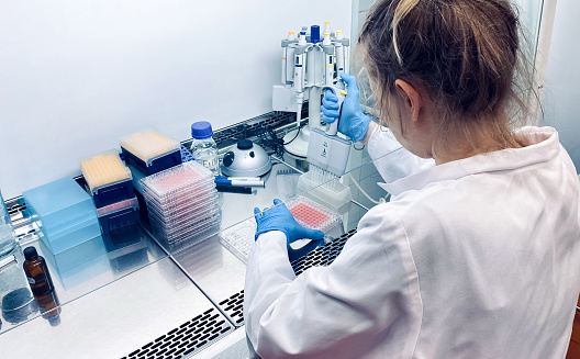Daily Biological Experiments Scientist Performing A Biological Experiment Stock Photo - Download ...