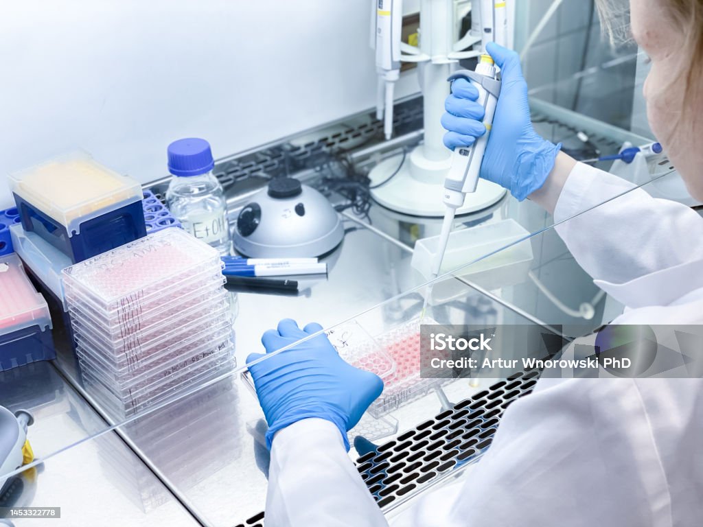 Daily Biological Experiments Scientist Performing A Biological Experiment Stock Photo - Download ...
