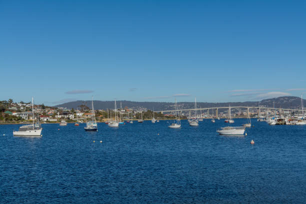 group of boats anchored in Hobart, Tasmania